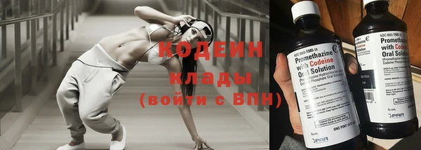 тгк Дмитриев