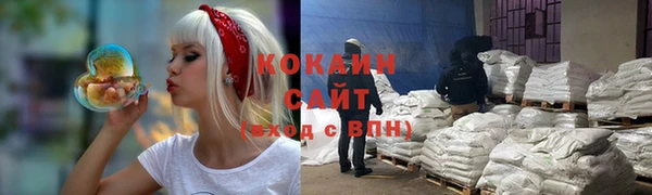 тгк Дмитриев