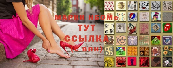 тгк Дмитриев