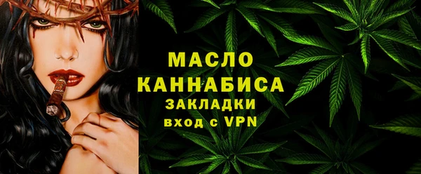 тгк Дмитриев