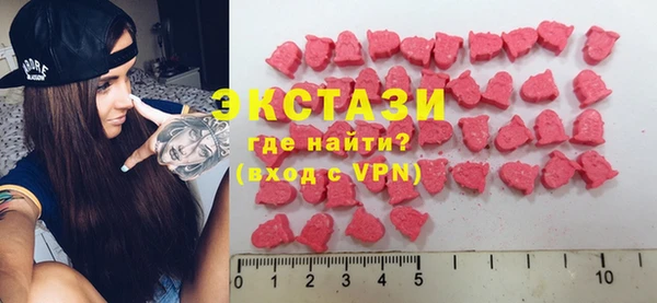 тгк Дмитриев
