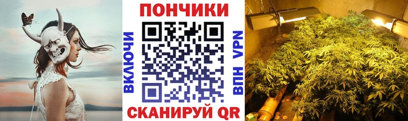 Бошки Шишки семена Камызяк